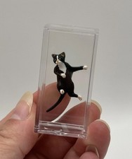 Miniature unique tiny for sale  Woburn