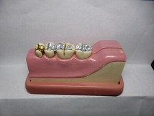 Typodont, Modelo de Patologias Dentárias Comuns, Instrução do Paciente, Seção X comprar usado  Enviando para Brazil