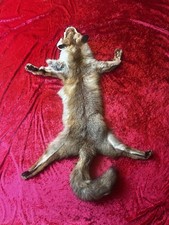 Rotfuchs fell echt gebraucht kaufen  Uhingen