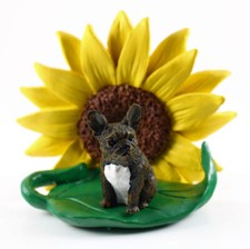 French bulldog sunflower for sale  Rochester