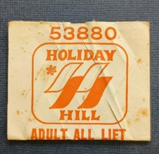 Vtg holiday hill for sale  Burbank