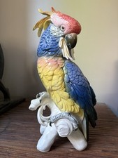 Grand perroquet cacatoes d'occasion  Haubourdin