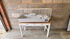 guinea pig indoor for sale  AYLESFORD