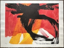 Doerig roswitha lithographie d'occasion  Paris XVII