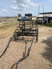 Bell crown pony for sale  ERITH