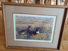 framed print stags for sale  Mount Pleasant