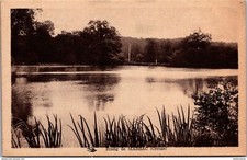 25468 cpa etang d'occasion  Expédié en Belgium