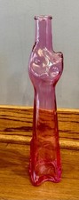 Happy cat rose for sale  Rock Island