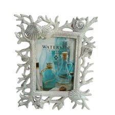 Waterside seashell photo for sale  Clinton