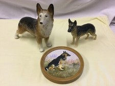 Dog lovers alsatian for sale  GREAT YARMOUTH