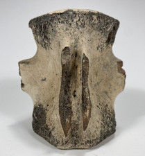 Miocene nomini cliffs for sale  Kearny
