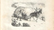 Stampa antica passo usato  Lecco