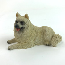 Imports siberian samoyed for sale  Dayton