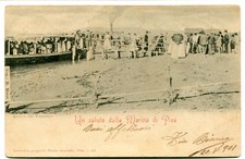 1901 marina pisa usato  Italia
