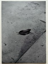 Bernard plossu carton d'occasion  Boulogne-Billancourt