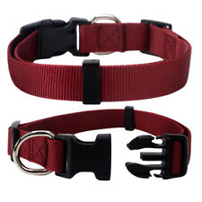 Hundehalsband nylon halsband gebraucht kaufen  Mülheim an der Ruhr