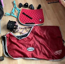 shetty schabracke gebraucht kaufen shetty schabracke gebraucht kaufen Eggenstein-Leopoldshafen