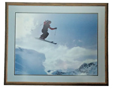 Extreme male skier for sale  Orland Park