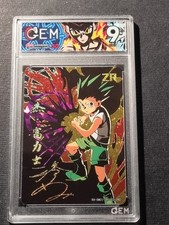 Gon freecss hunter usato  Grottammare