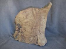 Olive burl wood for sale  Fillmore