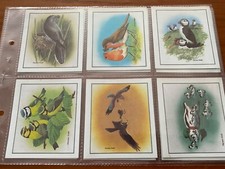 Trade tea cards for sale  SOUTHAMPTON