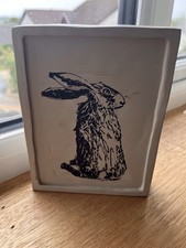 Cox cox hare for sale  CARLUKE