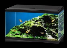Aquarium fish tank for sale  ST. ALBANS