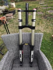 Bos idylle rare for sale  COLEFORD