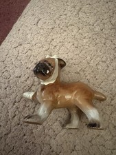 Bandaged boxer puppy for sale  CAMBRIDGE