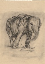 Franz marc elefant gebraucht kaufen  Berlin