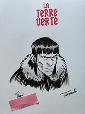 Terre verte ex d'occasion  Colmar