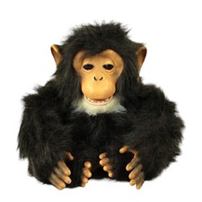 Hasbro 2005 furreal for sale  El Monte