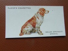 John player sons for sale  BRAUNTON
