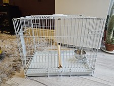 Small transport bird for sale  HULL