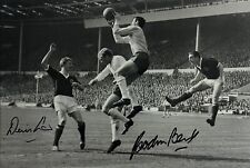 Denis law gordon for sale  MILTON KEYNES