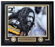 Troy polamalu signed for sale  Swedesboro
