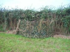 Stealth ghost net for sale  BRISTOL