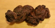Genuine fossilised coprolite for sale  BEAULY