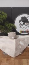 White bear ecru d'occasion  Expédié en Belgium