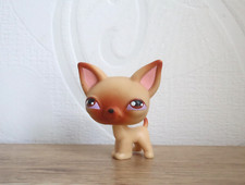 Littlest petshop chihuahua d'occasion  Talmont-Saint-Hilaire