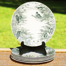 Lot assiettes plates d'occasion  Cerisy-la-Salle
