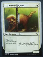 Adorable kitten unstable for sale  HULL