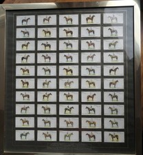 Calling horse racing for sale  SOLIHULL
