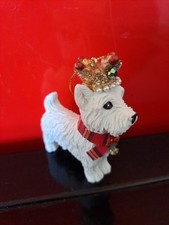 West highland terrier for sale  TEMPLECOMBE