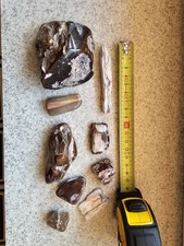 Kieselholz versteinertes holz gebraucht kaufen  Tüßling