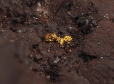 Gold gold ged gebraucht kaufen  Grimma