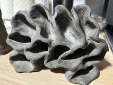 Hand made pleco for sale  LLANELLI