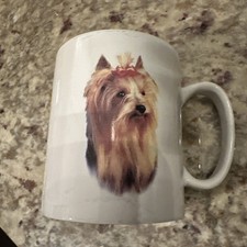 Bowwow meows yorkshire for sale  Shelbyville