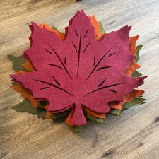Autumn fall maple for sale  Scottsdale