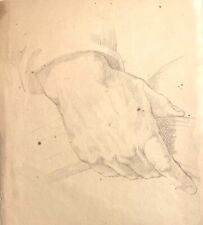 Disegno antico studio usato  Roma